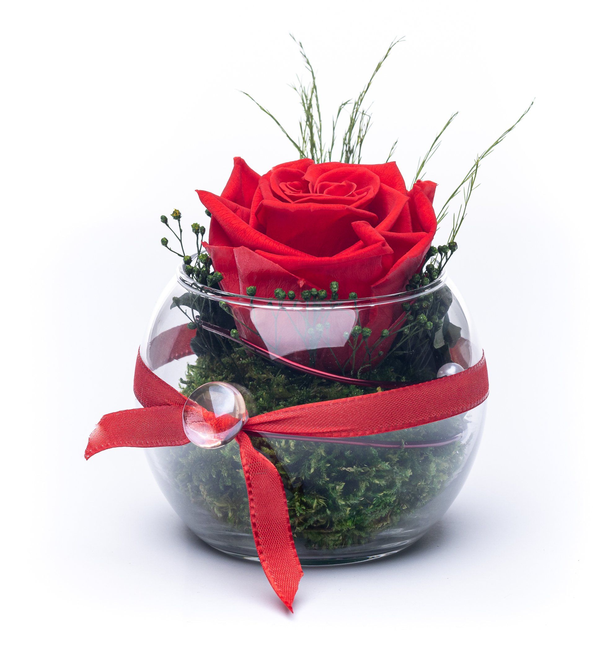 konservierte Blumengeschenk Rotefarbe- als Weihnachtsdeko