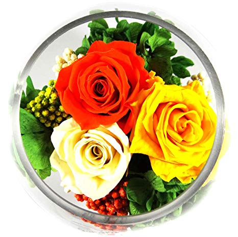 echte-bunte-Rosen-im-Glas pflanze-Mooß- echte-Blumengestecke