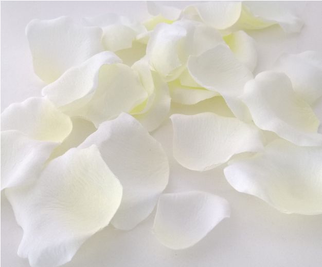 Rosen te Amo GTF-RMIRE-001 triple rote Rose