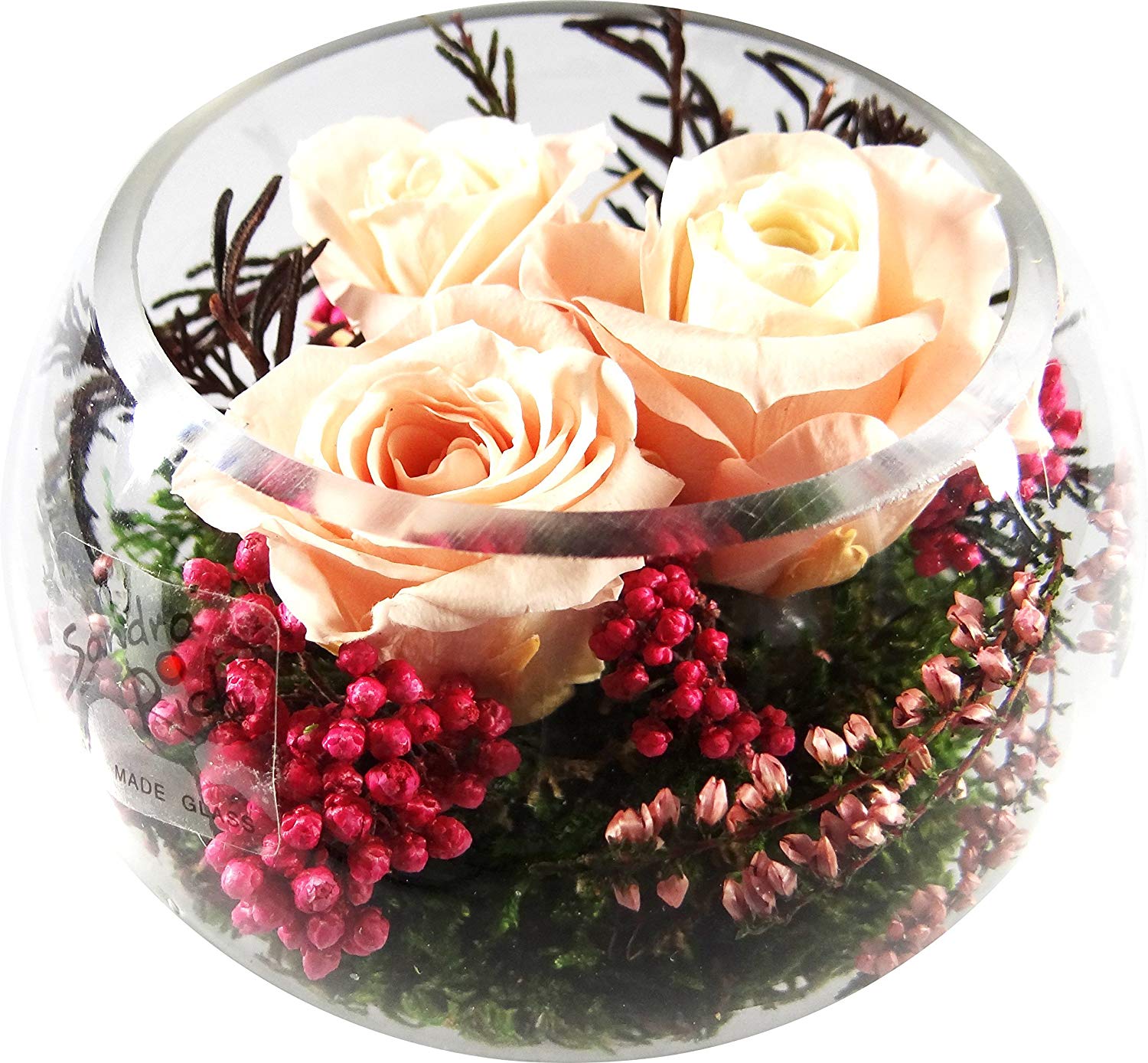 Rosen-Te-Amo GTF-RMIPI-006