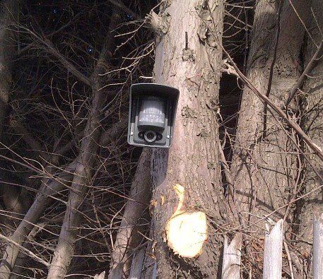 Avantguard Wireless Alarms Systems