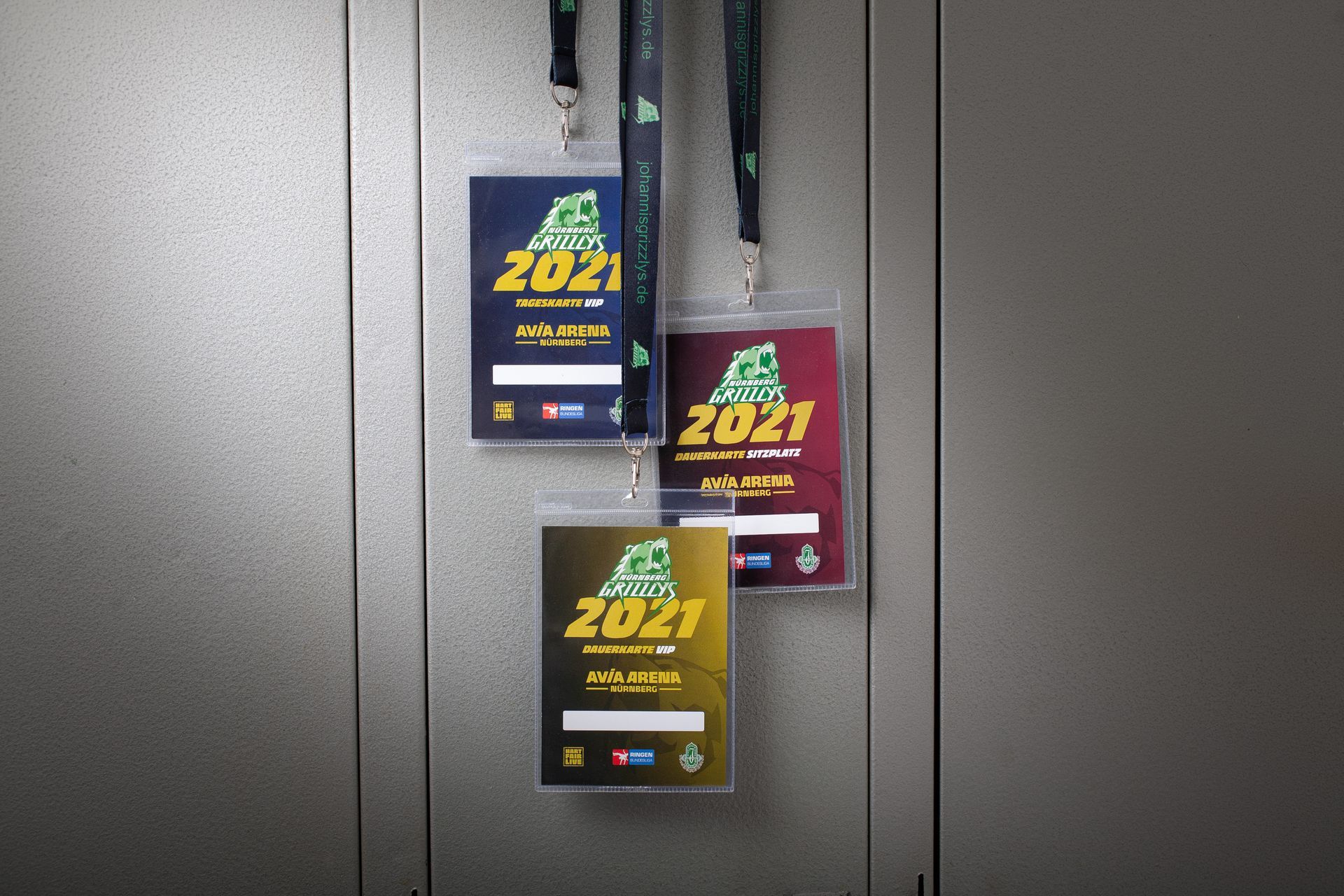 V8 Werbeagentur, Nürnberg, Grizzlys, Corporate Design, Branding, Logo