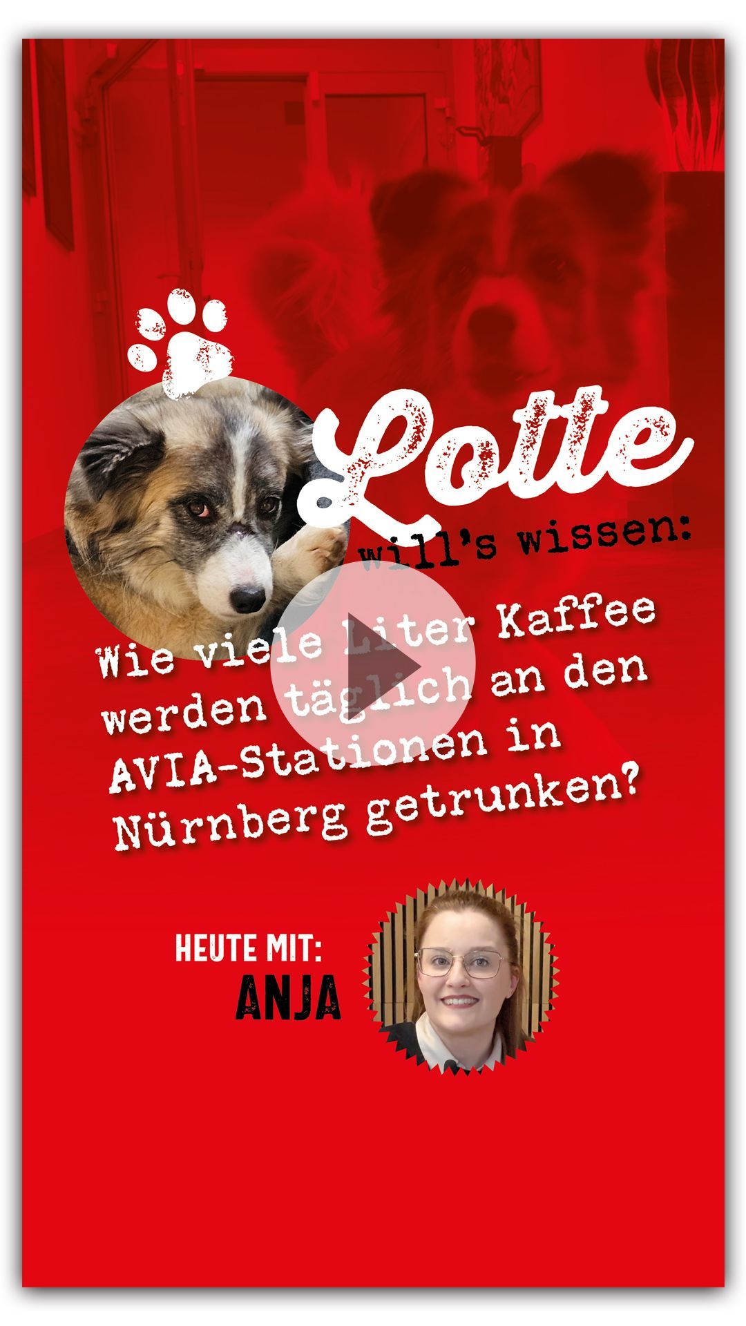 V8 Werbeagentur, Avia, Avia Team-Franken, Social Media, Reel