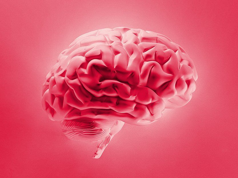 V8 Werbeagentur Nürnberg, Motor für Marken, philoscience, Turm der Sinne, Website, Internetwauftritt