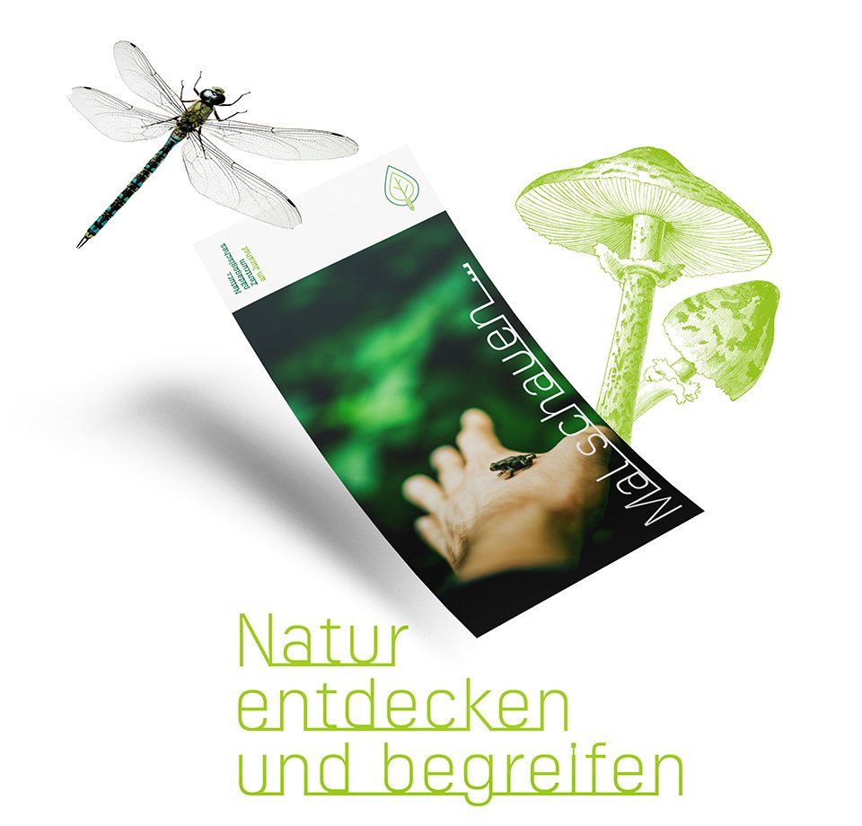 V8 Werbeagentur, Nürnberg, Motor für Marken, Naturpädagogisches Zentrum, Jurahof, Flyer, Print