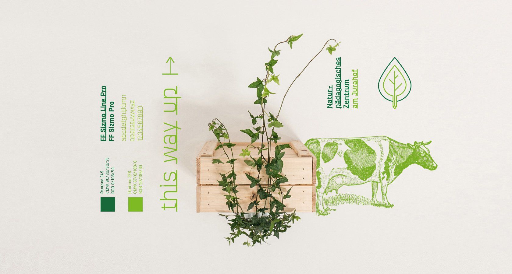 V8 Werbeagentur Nürnberg Naturpädagogisches Zentrum Erscheinungsbild