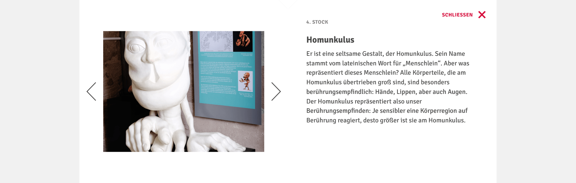 V8 Werbeagentur, Nürnberg, Turmdersinne, Philoscience, Webdesign, Internetauftritt, Website