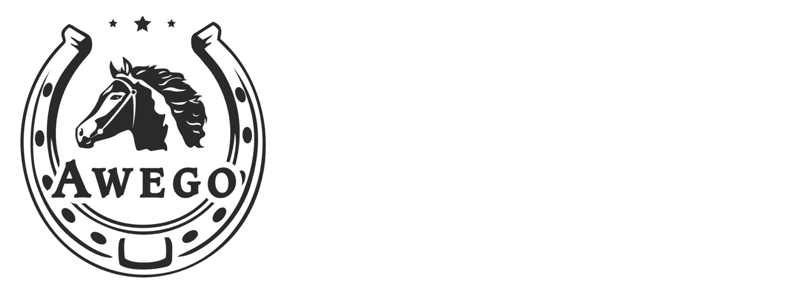 Horses & Stunts