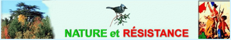 Gym Loisirs - Randonnées Pédestres