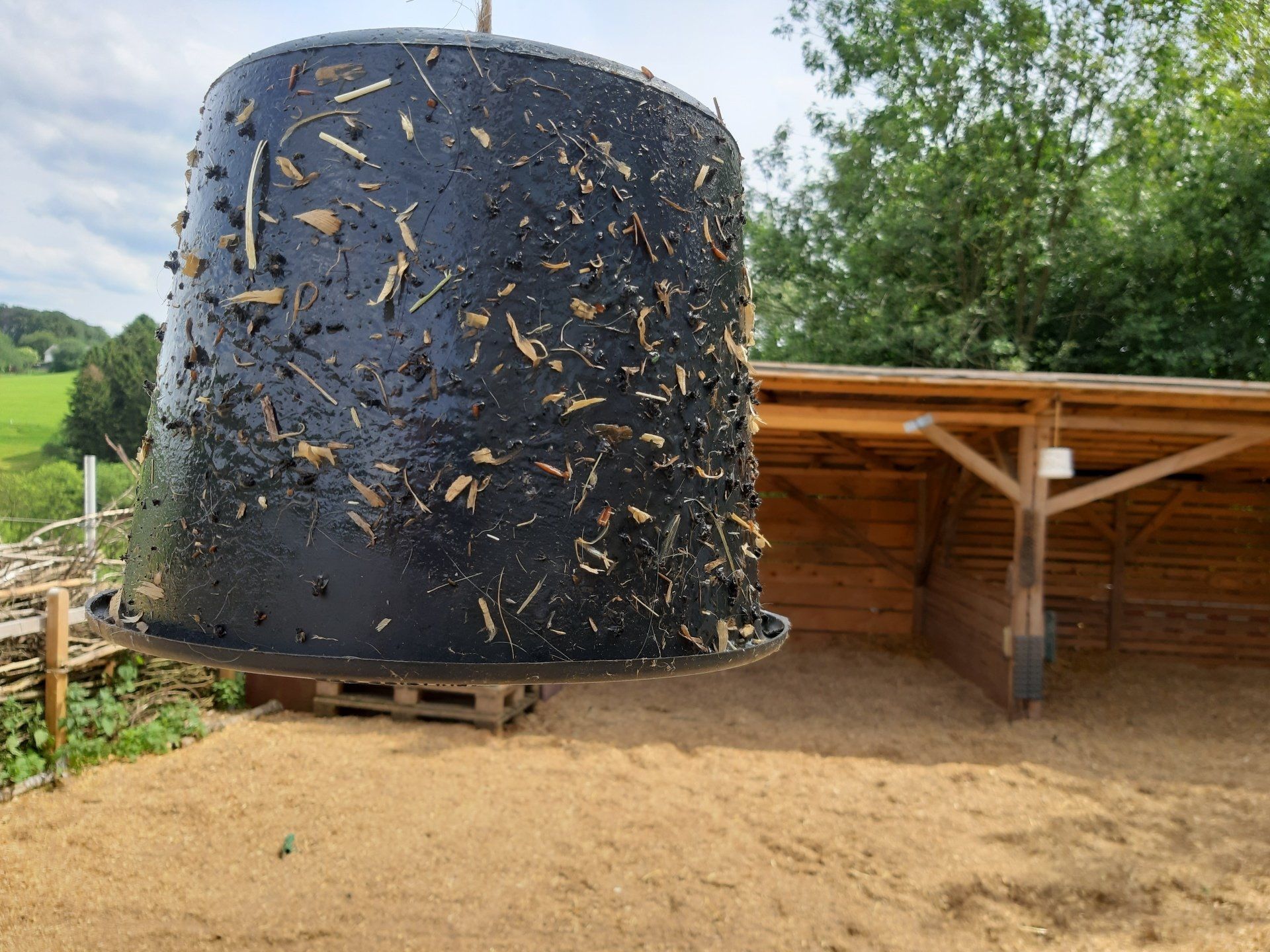 Pferd - Bremsenfallen selbst gebaut