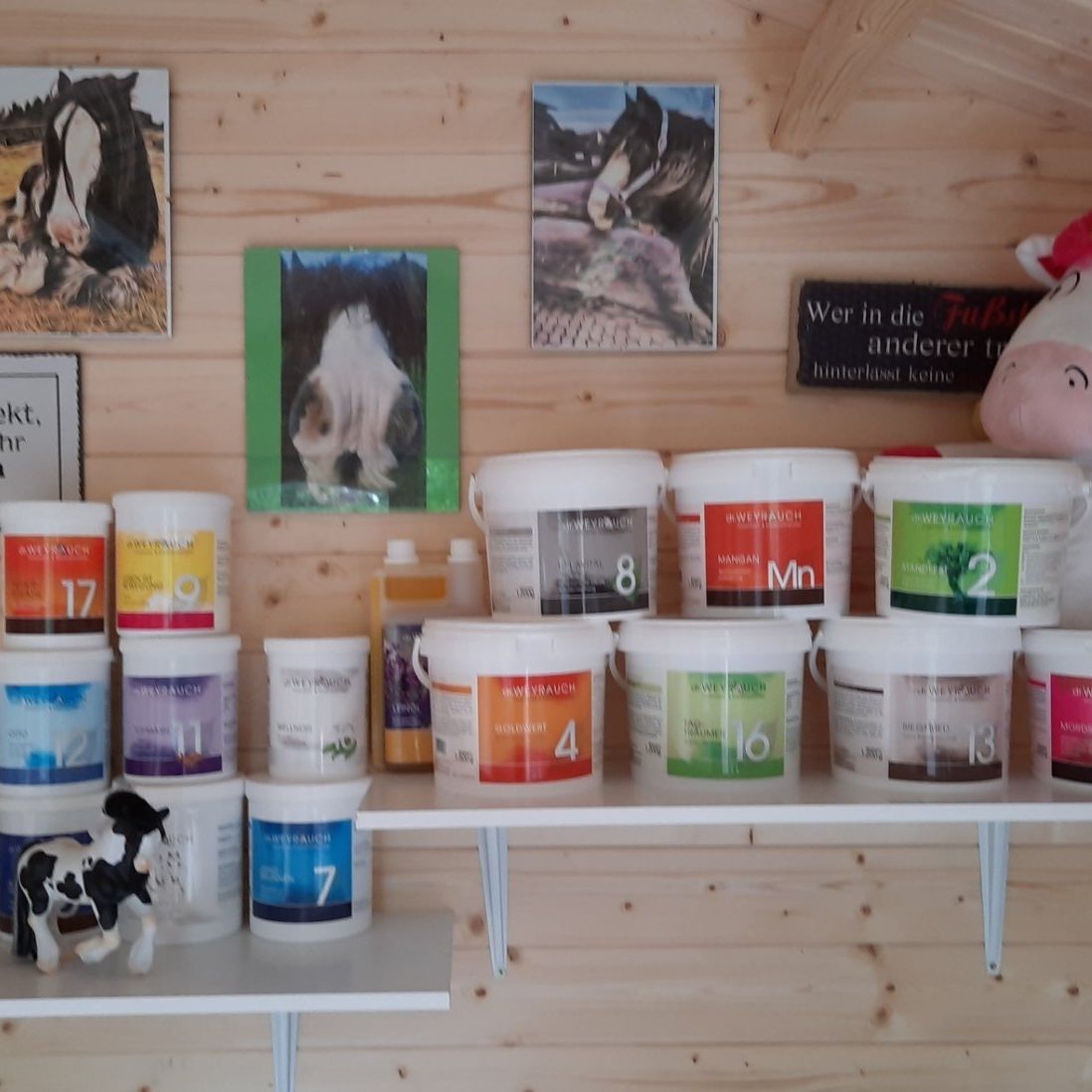 dr. WEYRAUCH - How to use