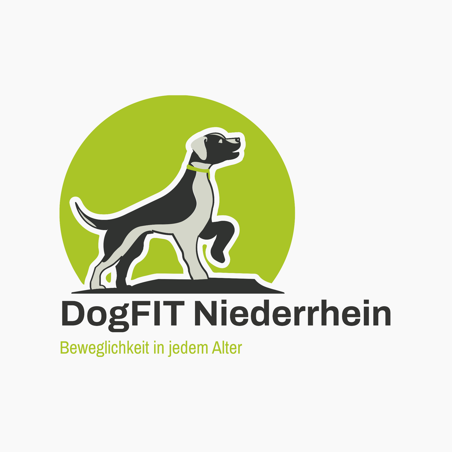 Praxis für Tierphysiotherapie DogFIT Niederrhein
