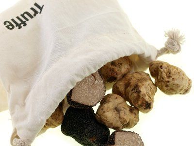 tuber melanosporum, tuber indicum, tuber aestivum, tuber brumale, truffe noire du périgord, truffe de Bourgogne,  différentes espèces de truffe,
