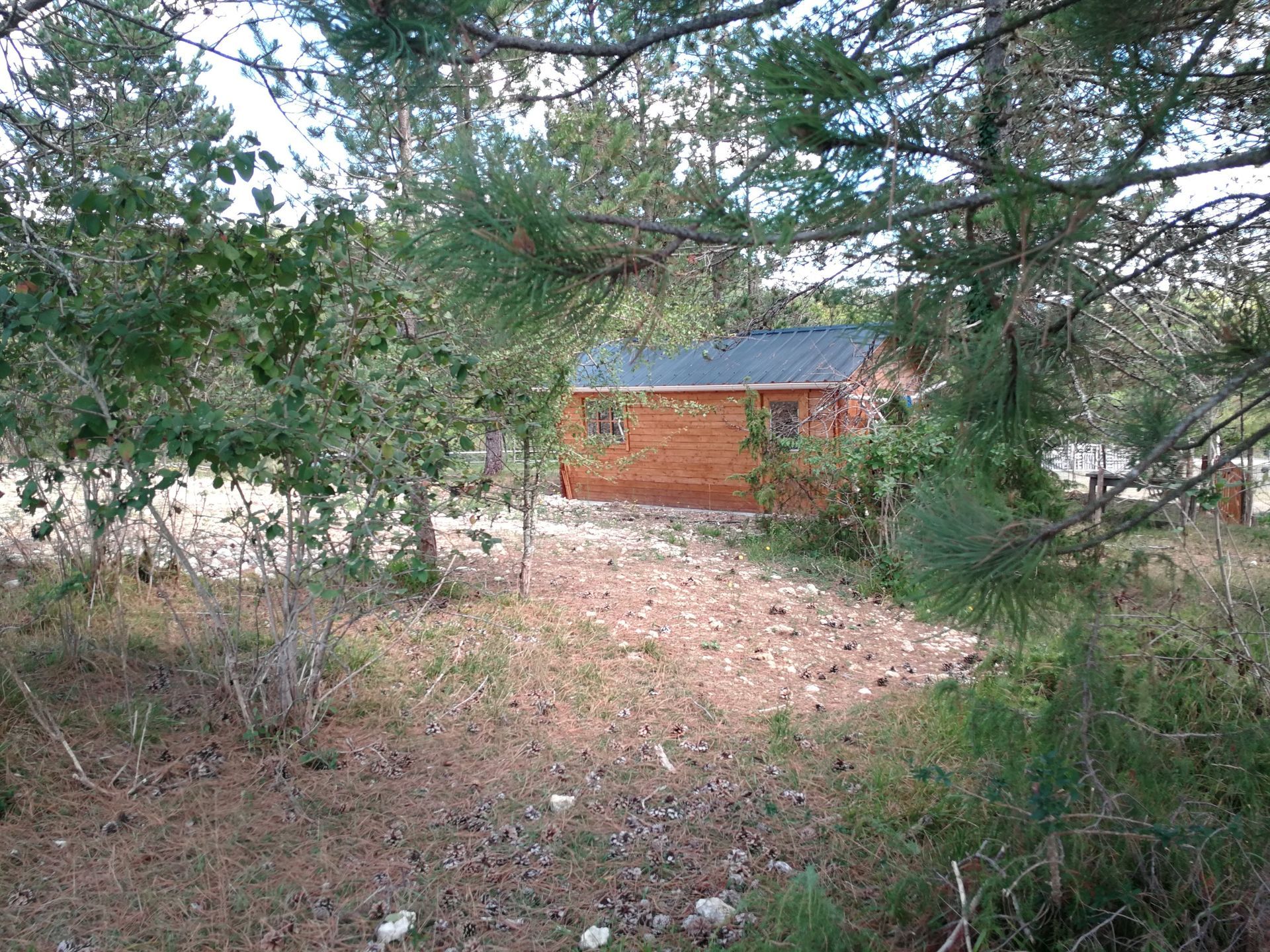 La cabane d'accueil