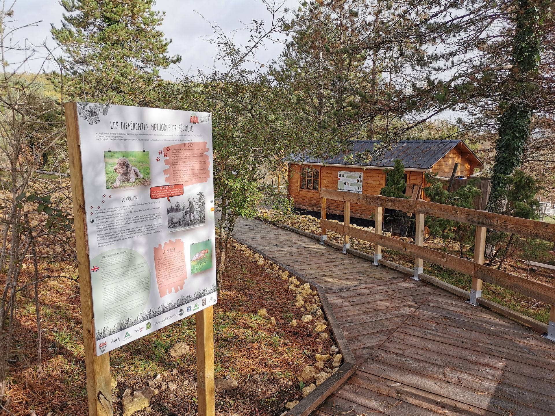 Un cheminement en bois aux normes PMR permet l'accès à la truffière pédagogique depuis la cabane d'accueil