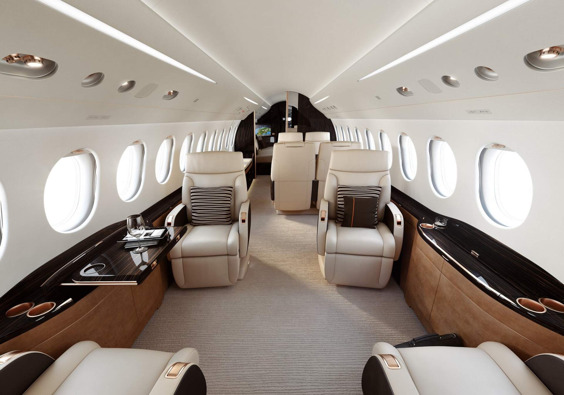 Dassault Falcon 8X Charter Flight