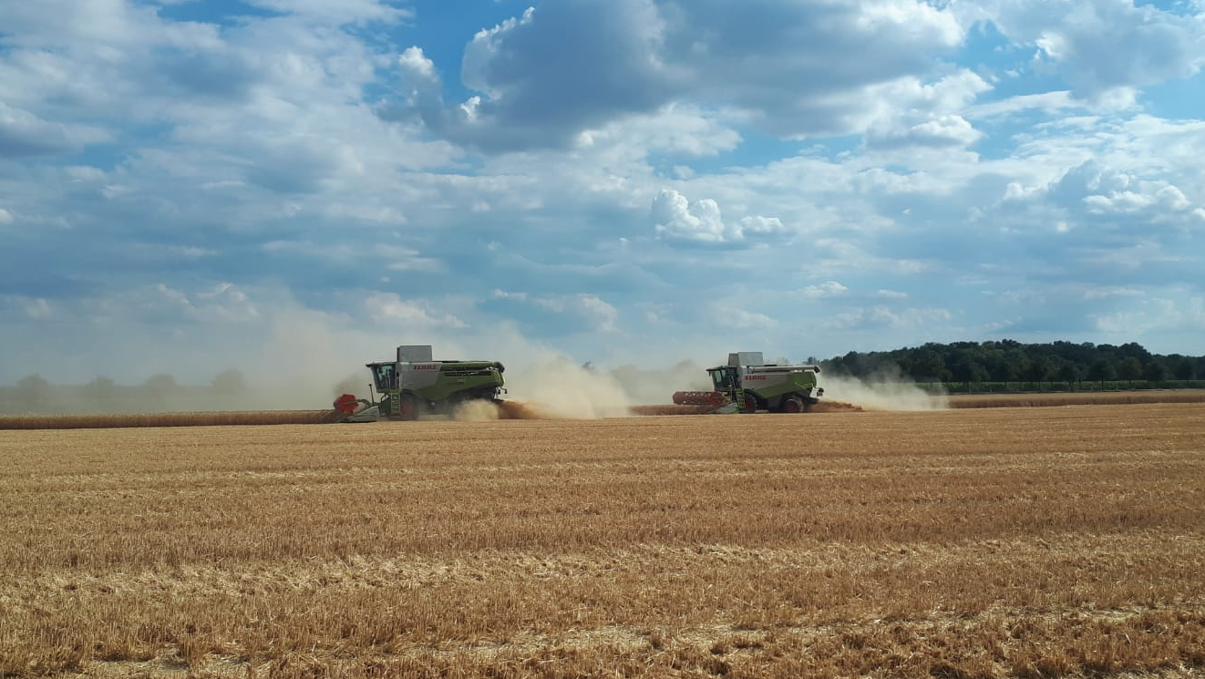 Bauer Krätzschmar (Borna) - Dienstleistungen