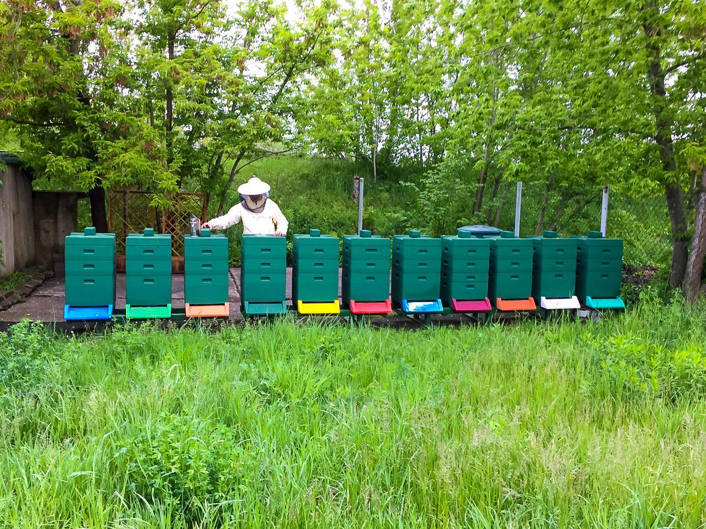 Bauer Krätzschmar (Borna) - Honig