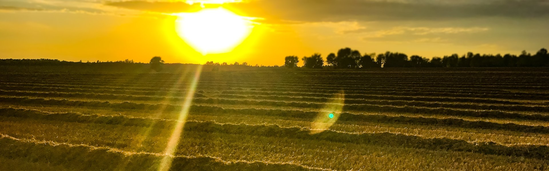 Bauer Krätzschmar Borna - Futtermittel