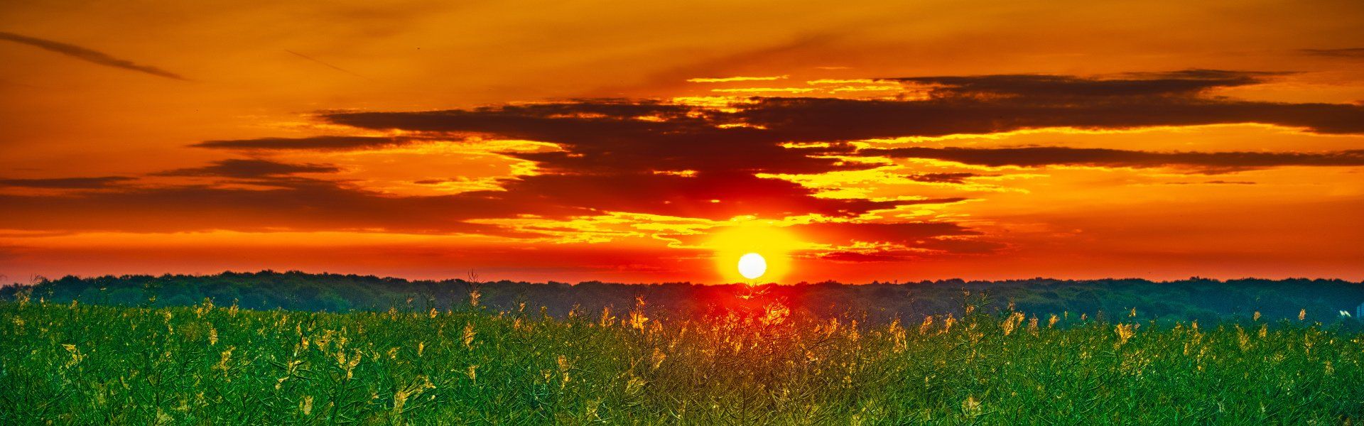 Bauer Krätzschmar Borna - Pacht / Verkauf von Ackerfläche