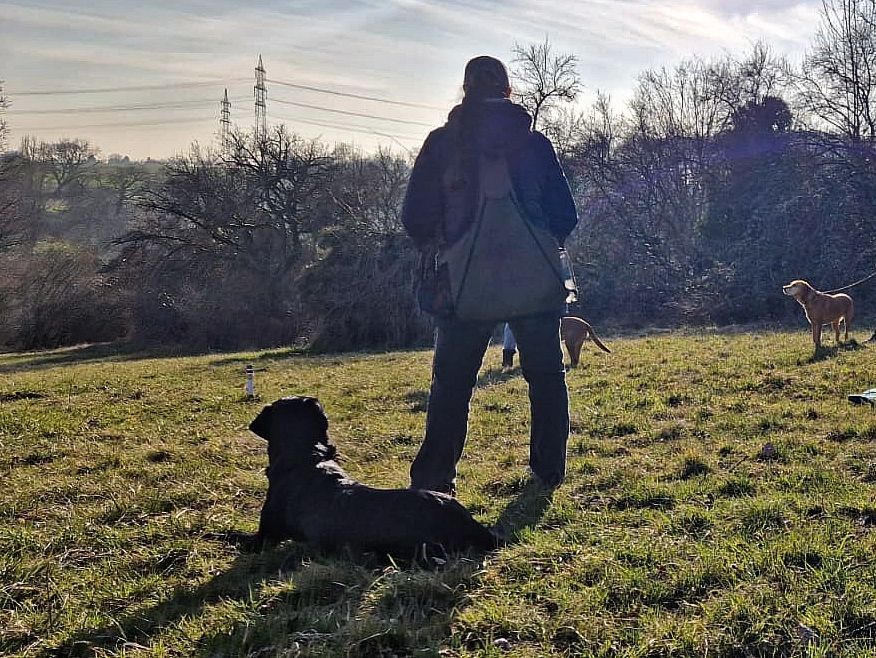Wald & Hund -Ausbildung Dummytrainer