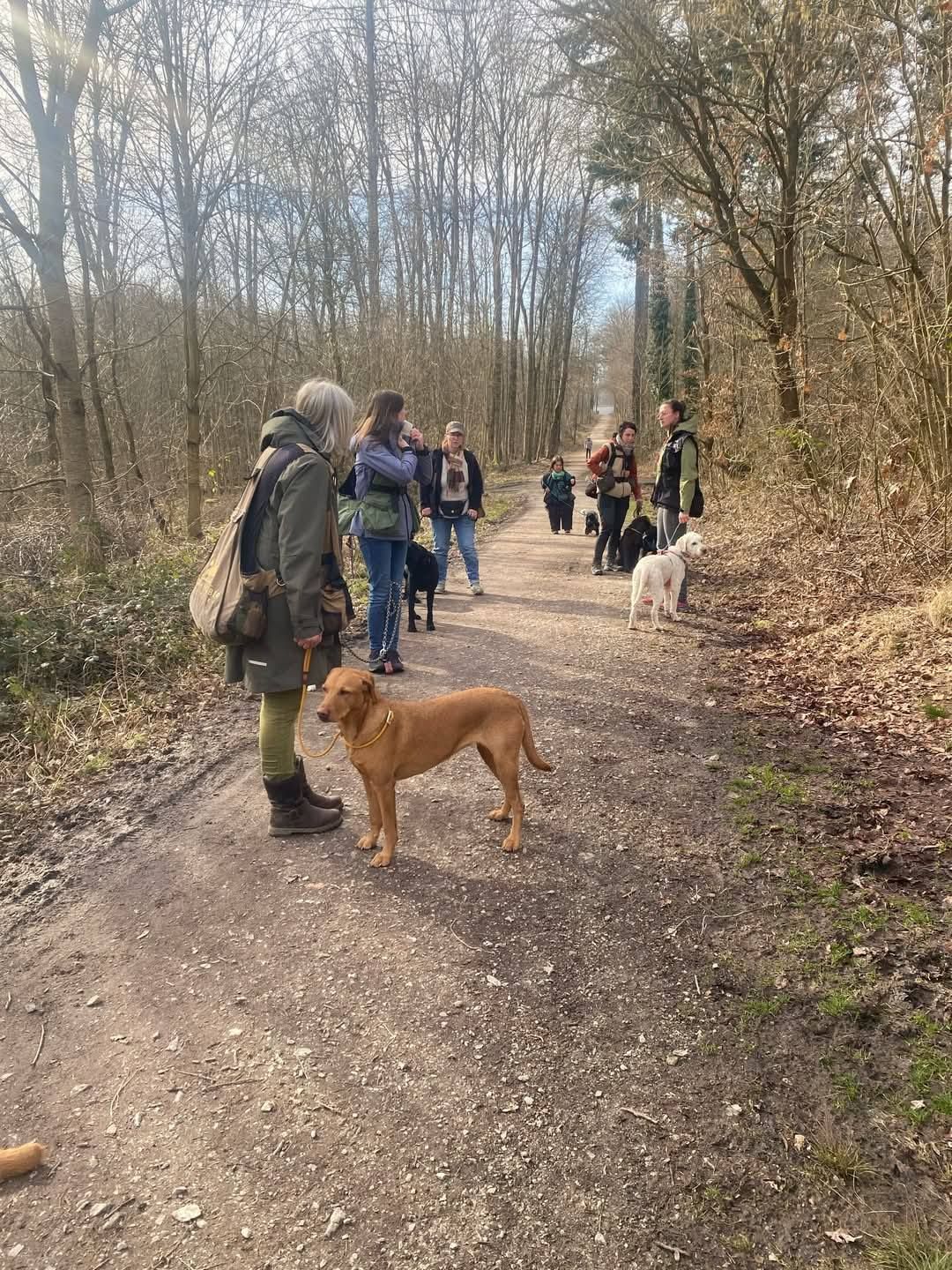 Wald & Hund -Ausbildung Dummytrainer