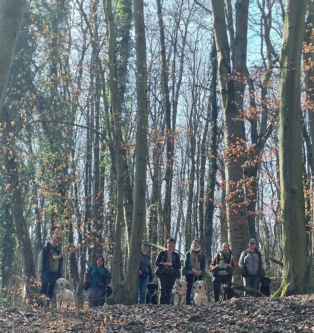 Wald & Hund -Ausbildung Dummytrainer