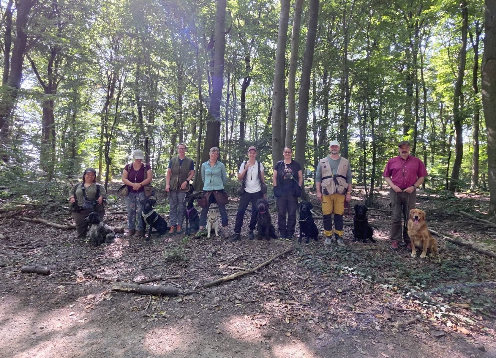 Wald & Hund -Dummytrainer Ausbildung