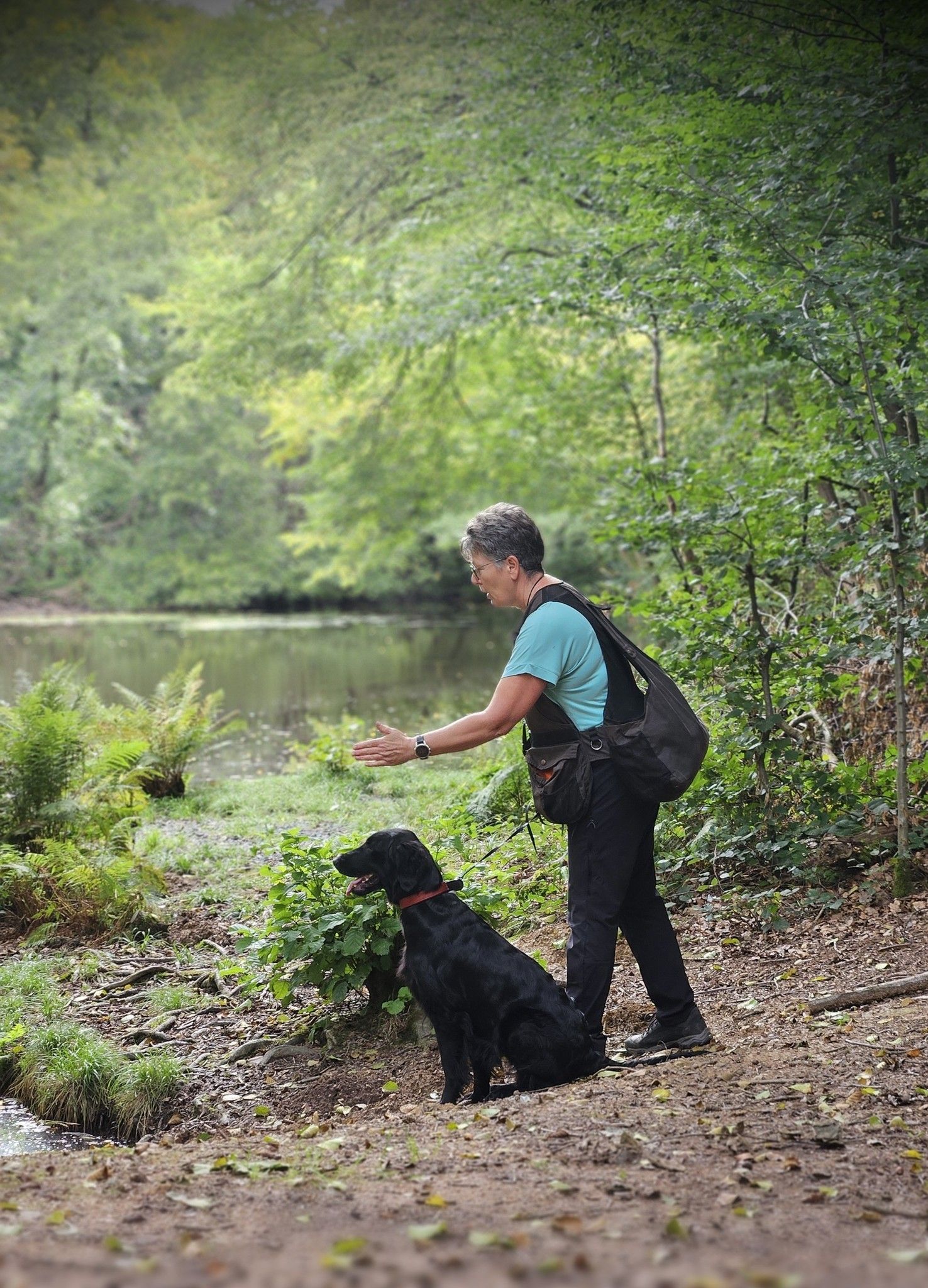 Wald & Hund - Dummytrainer Ausbildung