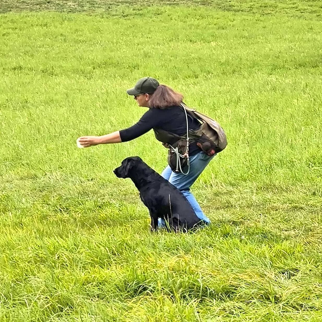 Wald & Hund - Dummytraining