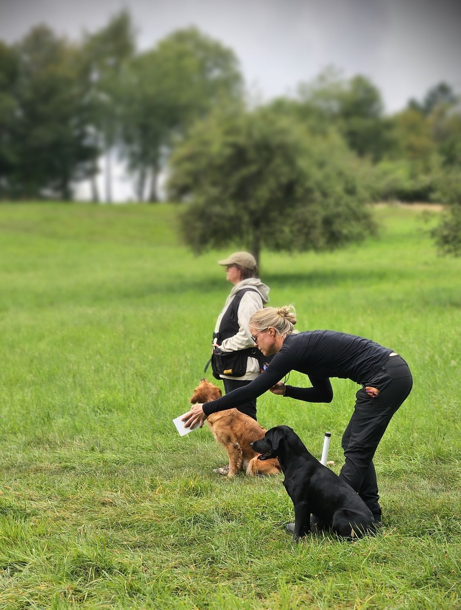 Wald & Hund - Dummytrainer Ausbildung