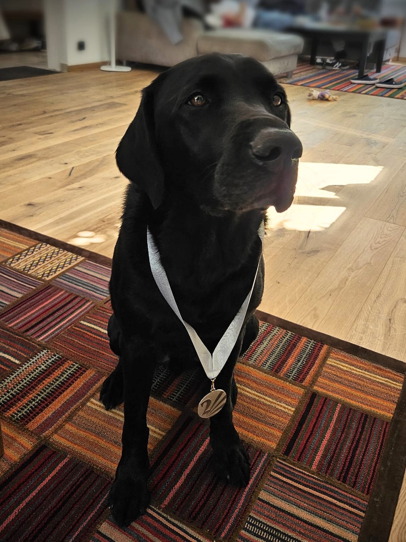 Wald & Hund - 1. BHV Dummy Cup 2025