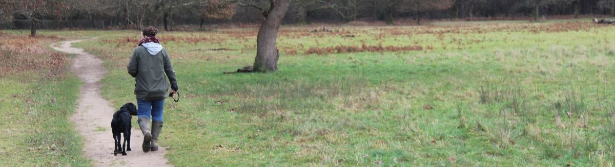 Spaziergang mit Hund