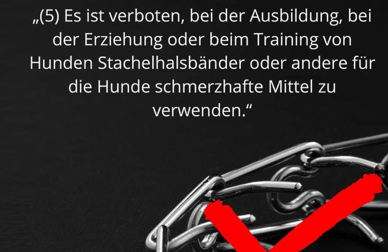 Blog Verordnung - Kundenfeedback - Wald & Hund - Hundetraining