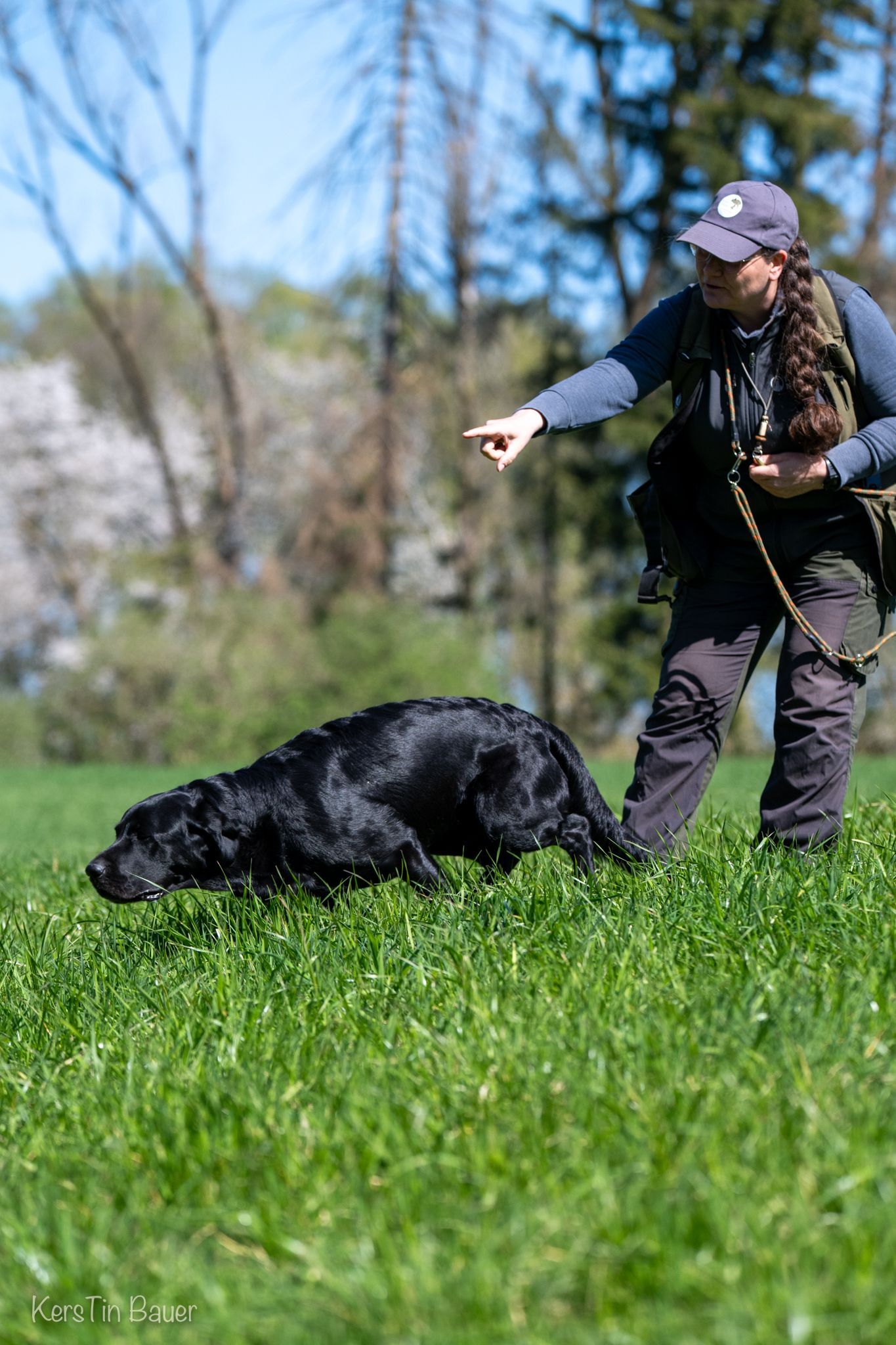 Wald & Hund - Dummytraining