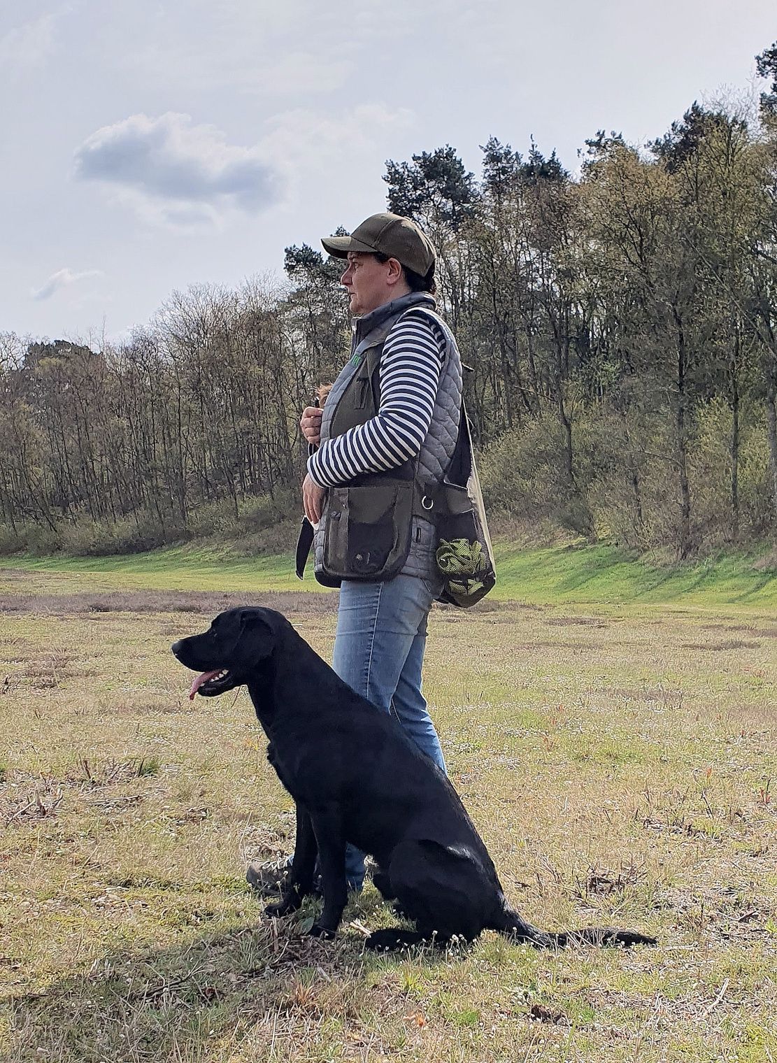 Wald & Hund - Dummytraining