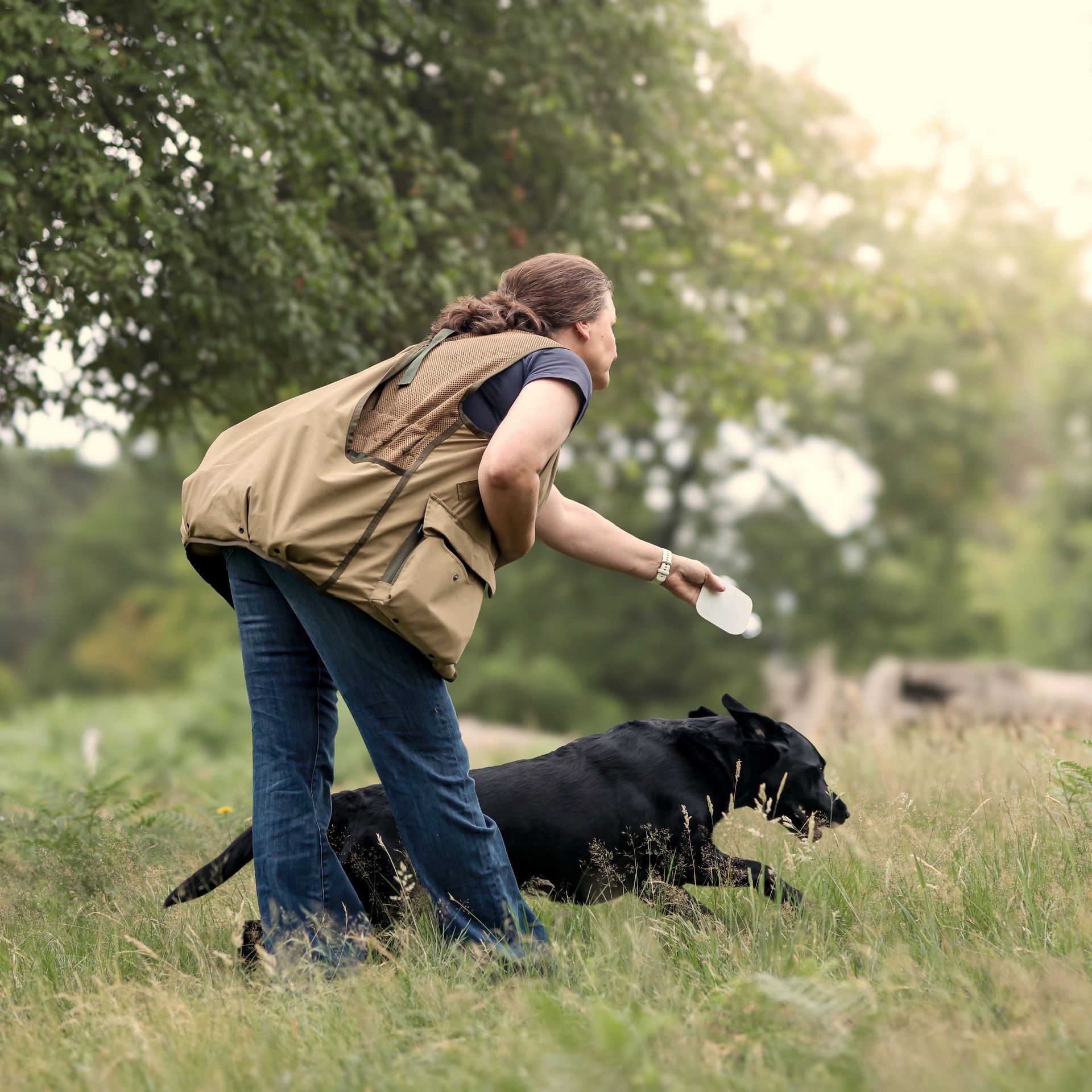 Wald und Hund - Hundetraining