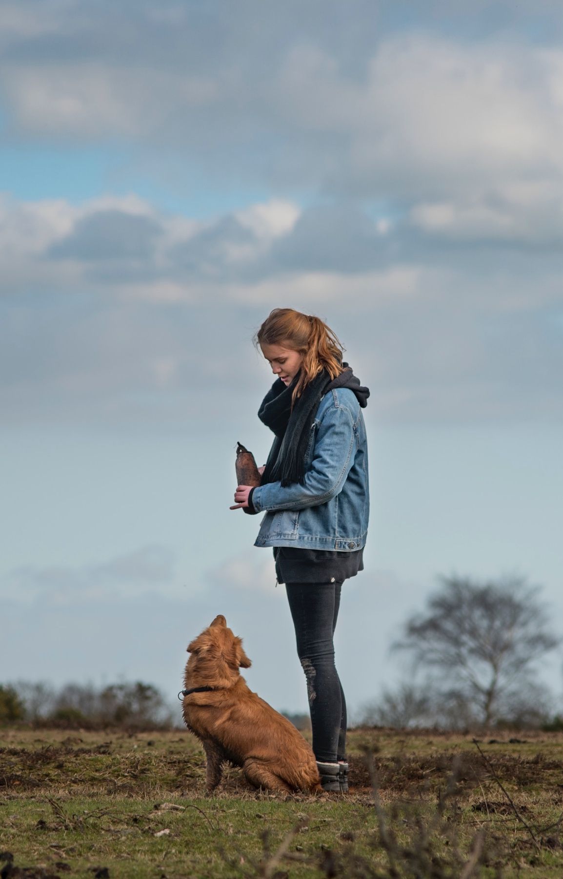 Wald & Hund -Dummytraining Einzel
