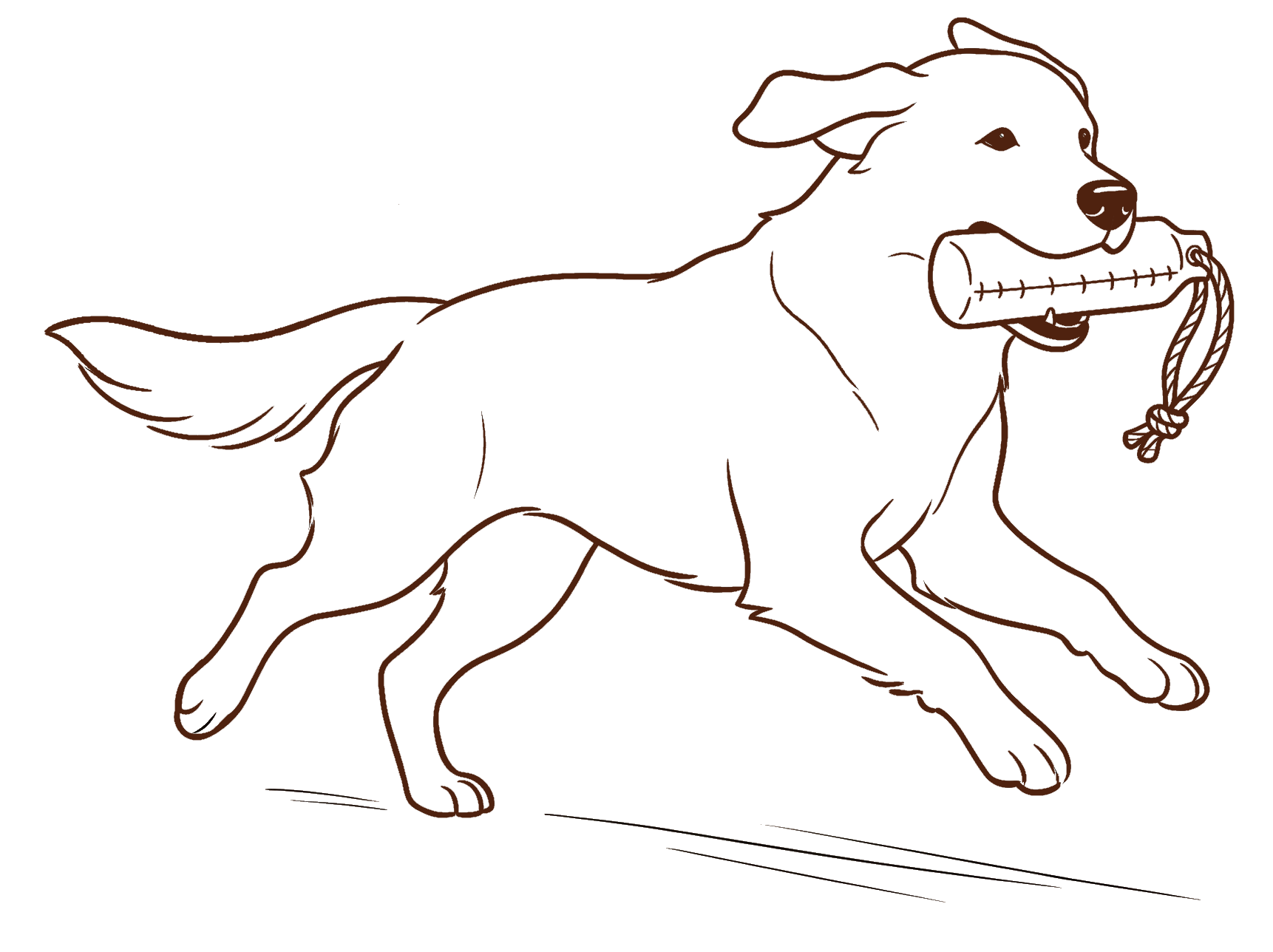 Wald und Hund - Hundetraining
