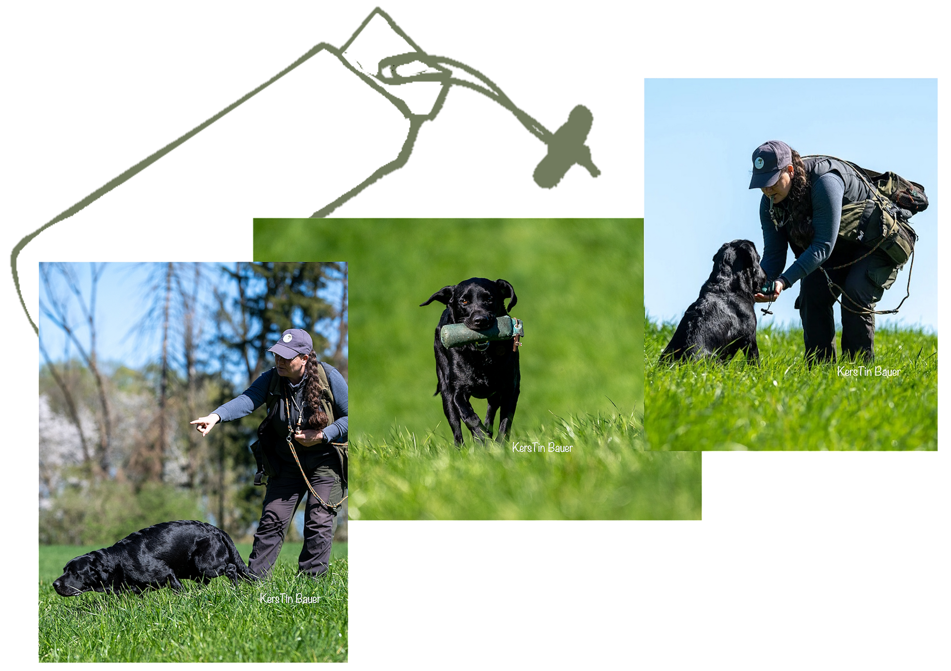 Wald & Hund -Dummytraining