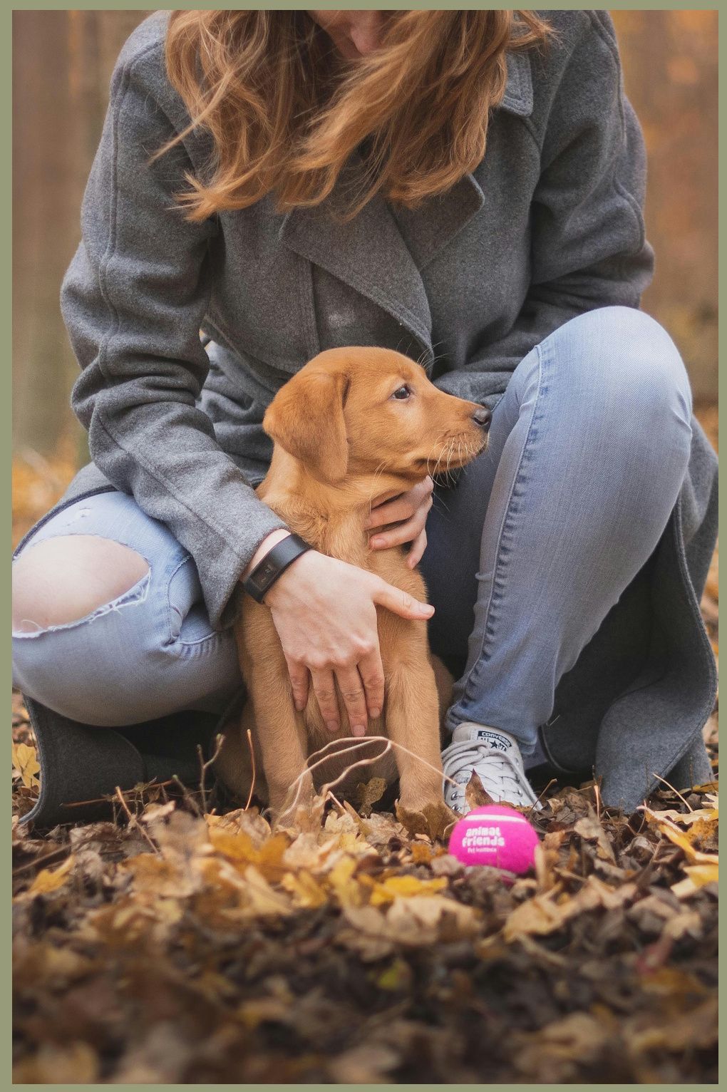 Wald und Hund Dummytraining