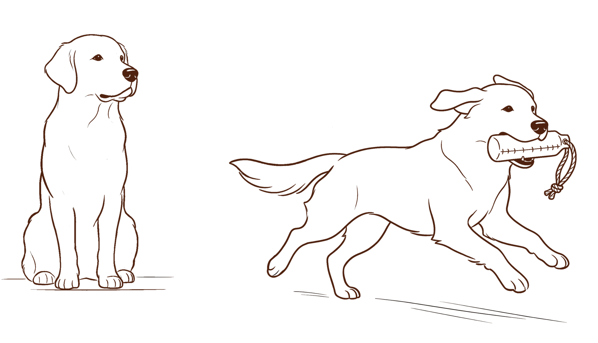 Wald und Hund - Hundetraining