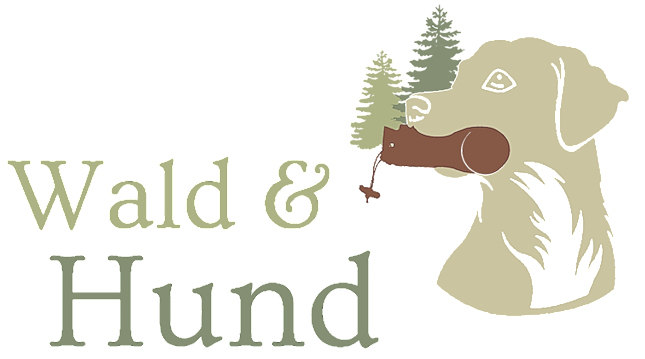 Wald und Hund - Hundetraining