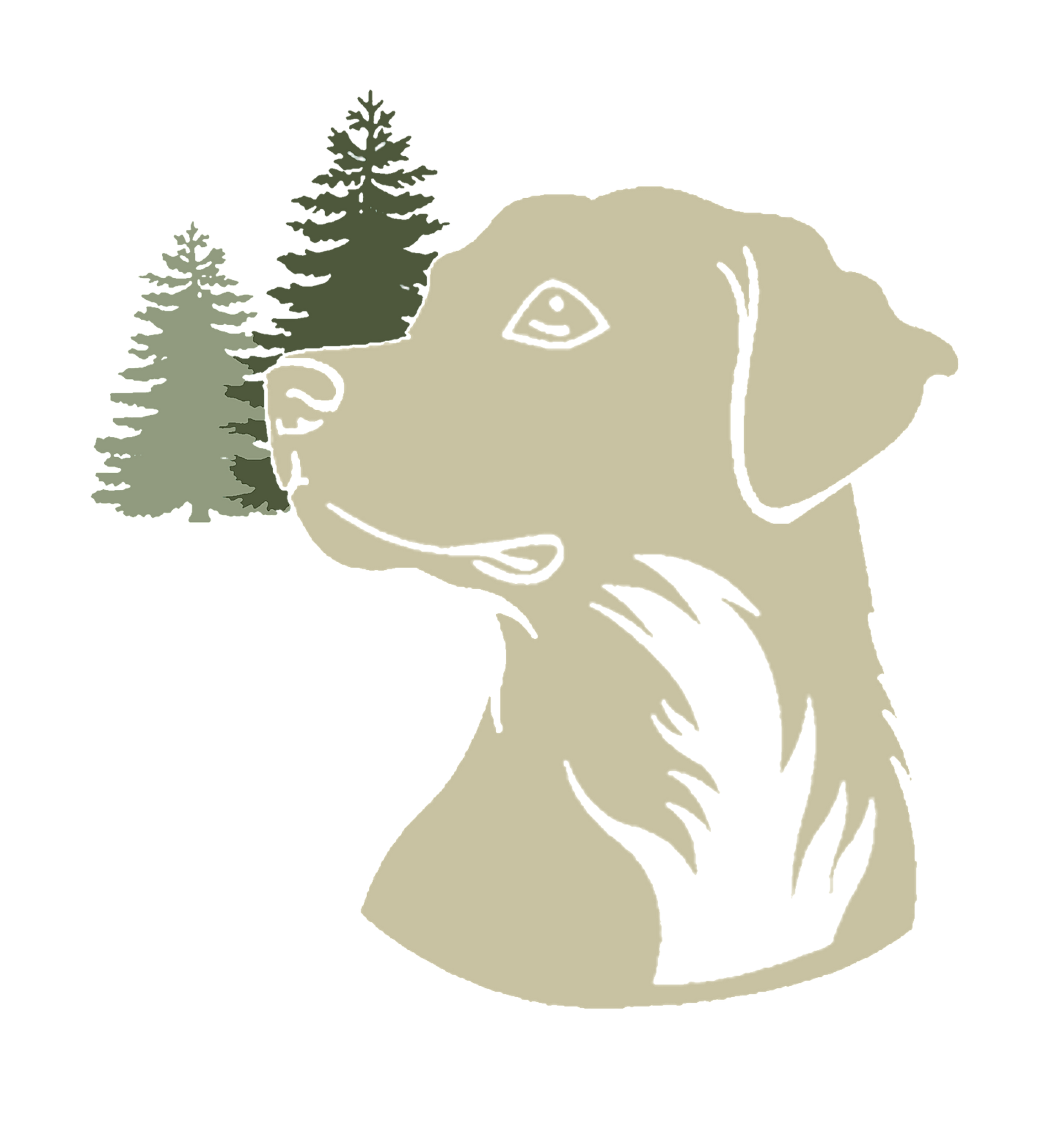 Wald und Hund Hundetraining Logo