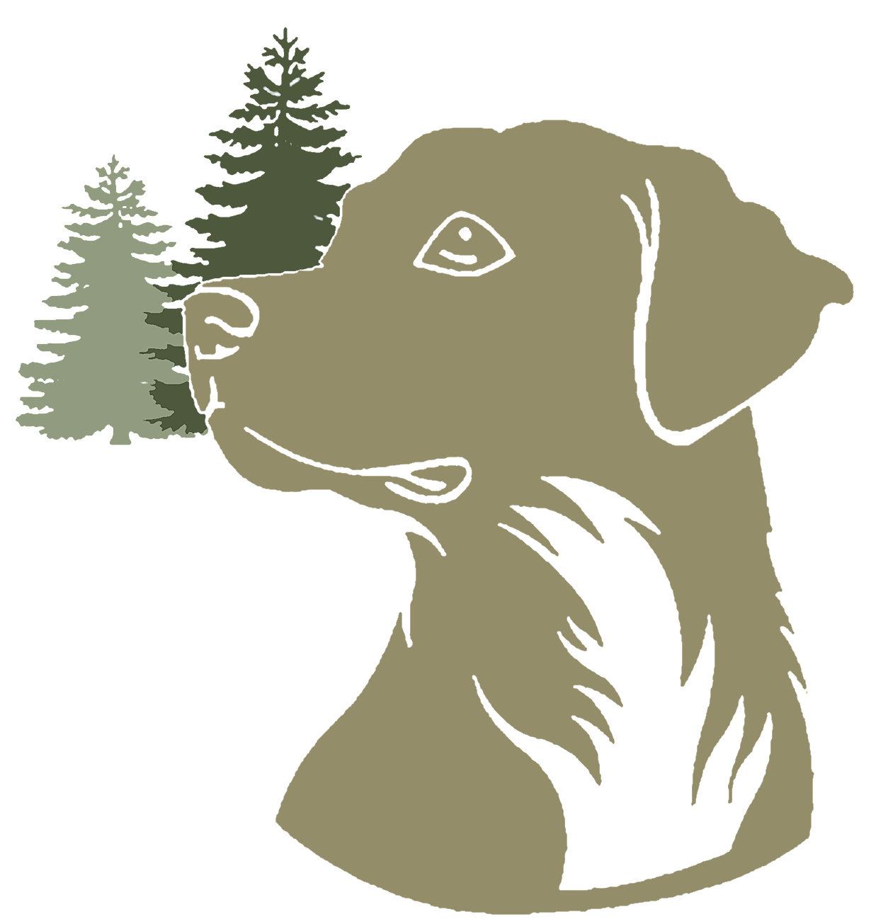Wald und Hund - Hundetraining
