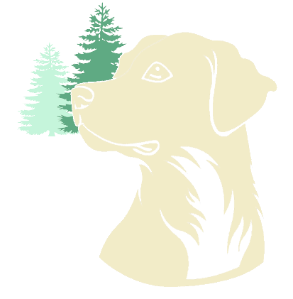 Wald und Hund Hundetraining Logo