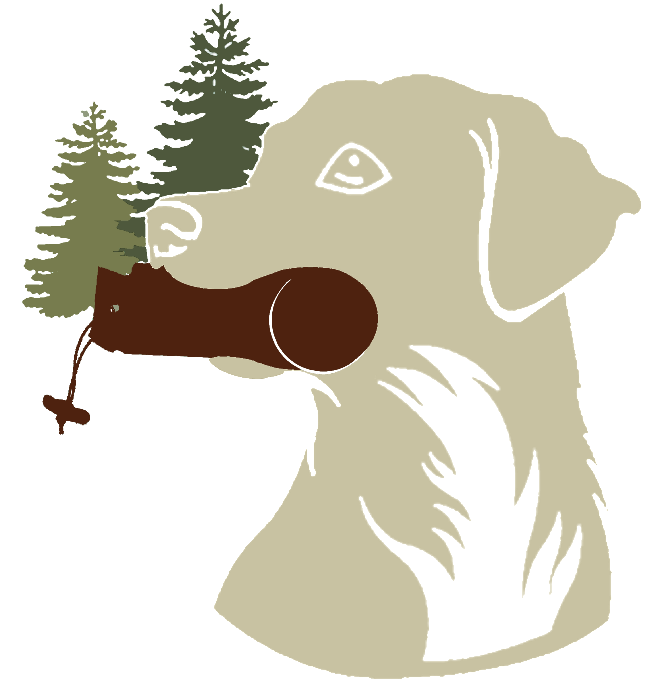 Wald und Hund - Hundetraining