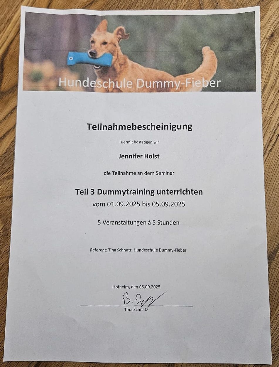 Wald und Hund - Hundetraining