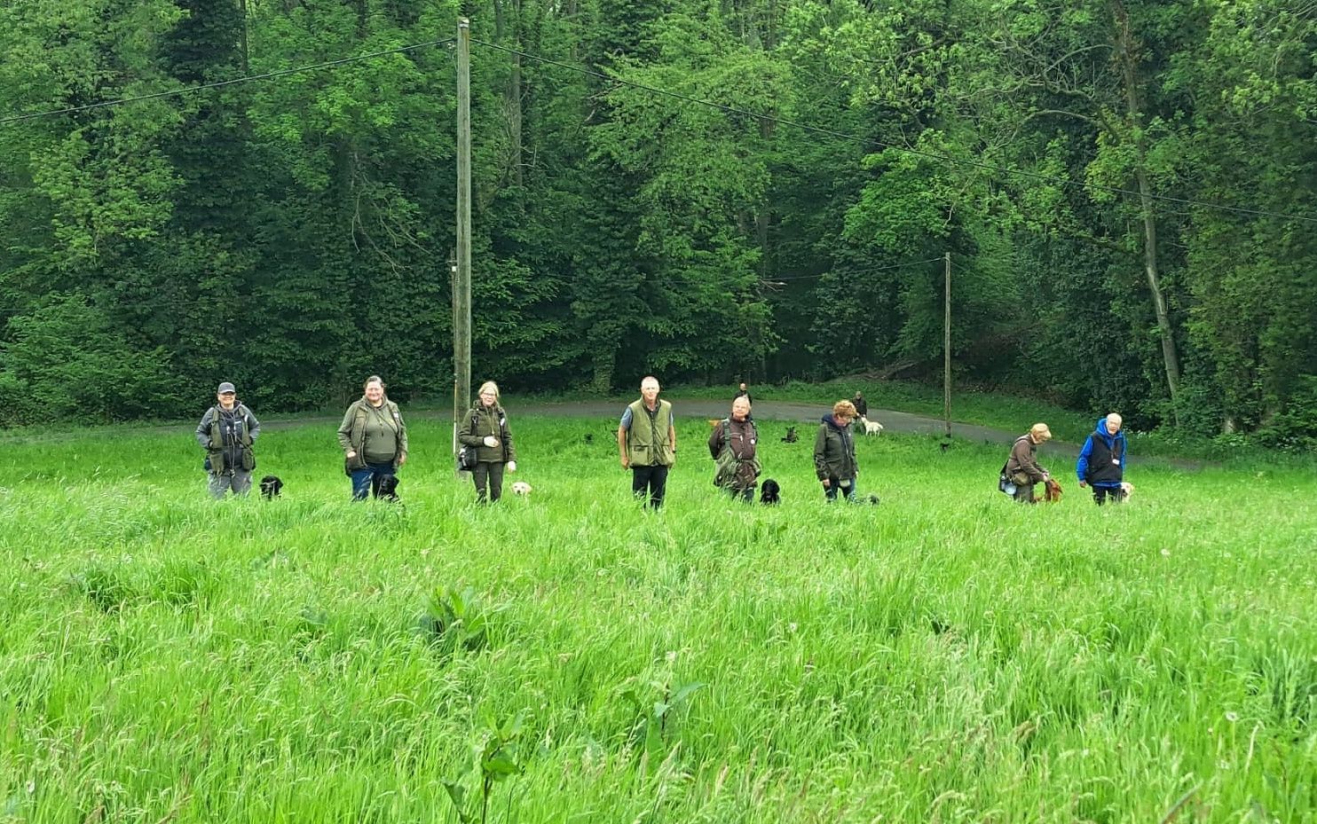 Wald & Hund -Seminar Dummytraining Andrew Siblings