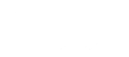 Sprich Hund Netzwerk Wald & Hund Hundetraining -Sprich Hund Netzwerk